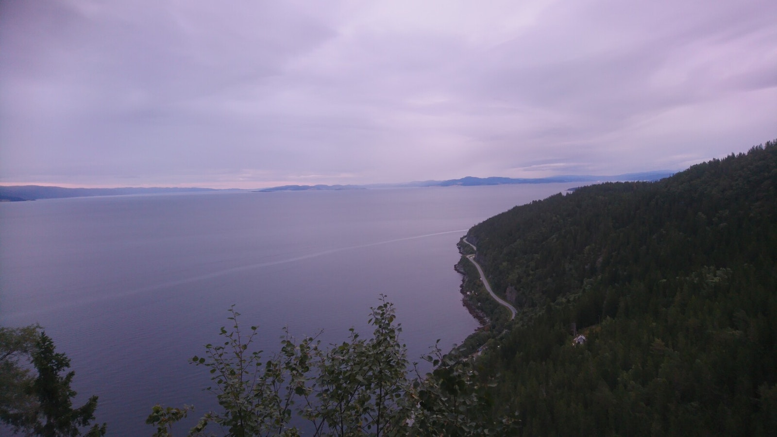 Fra Damhaugen går det en mye brukt tursti mot nord forbi Holstvollen mot St. Olavsspranget. (Selger private bilde) Galleribilde