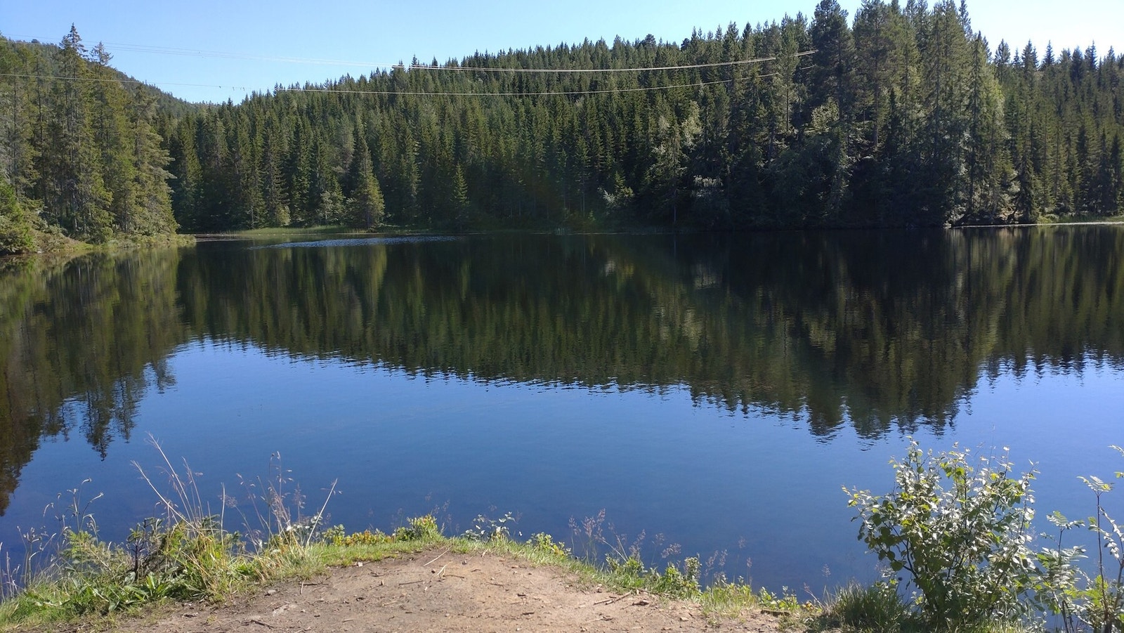 Kort vei til Holstdammen som ligger like sør for Trolla ved Tømmerdalen og nordøst i Bymarka i Trondheim.
(Selger private bilde) Galleribilde