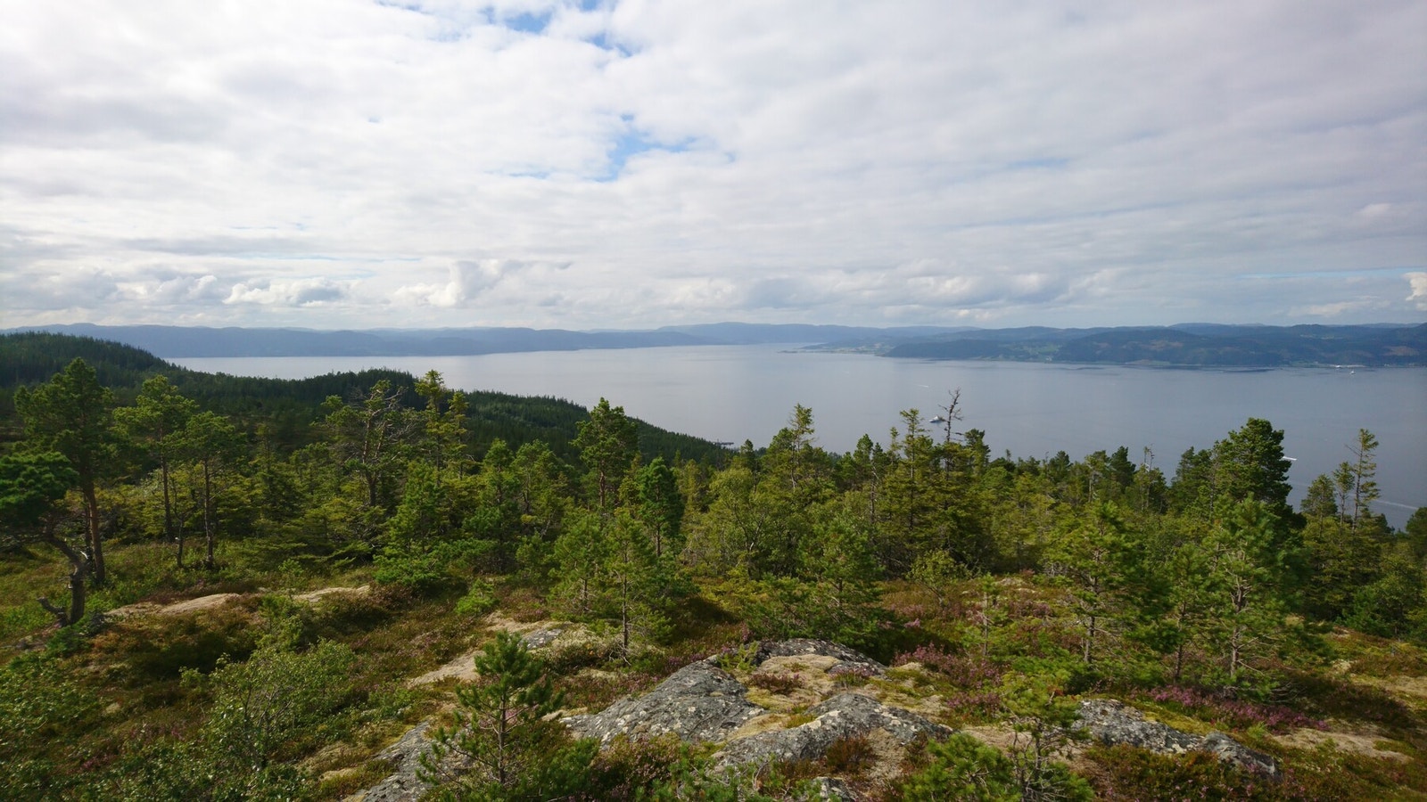 Nærhet til Svartdalsfjellet som karakteriseres som Bymarkas skjulte skatter. (Selger private bilde) Galleribilde