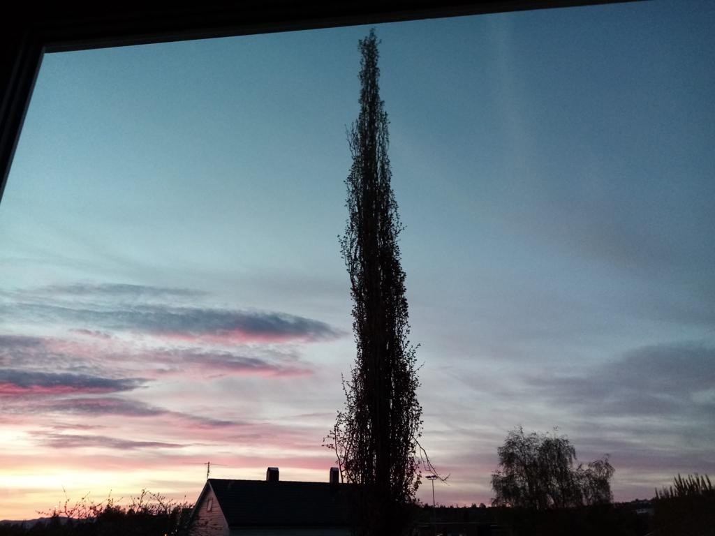 Utsiktsbilde Galleribilde