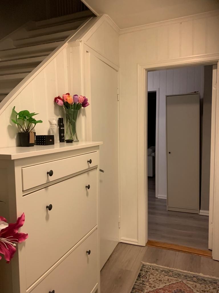 Entrè med vegghengt skoskap Galleribilde