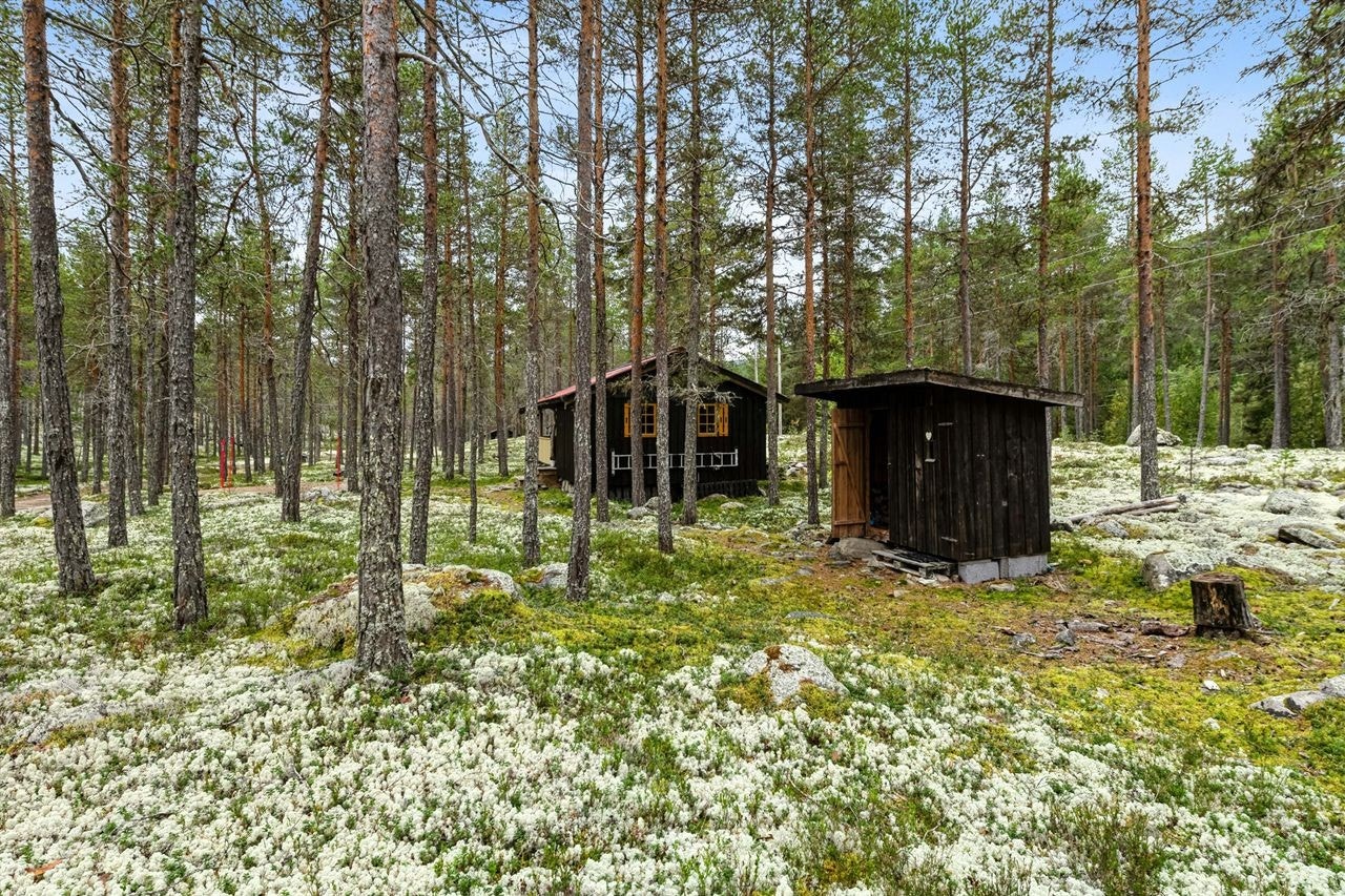Eiendommen består av hytte og bod/utedo i naturskjønne omgivelser. Galleribilde