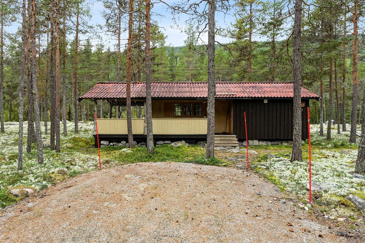 Parkering på opparbeidet plass foran hytta. Galleribilde