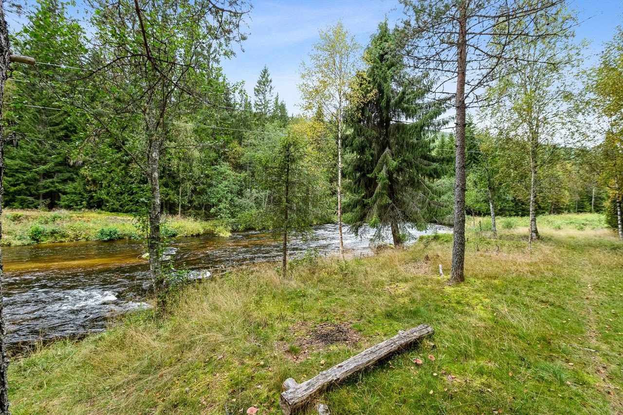 Muligheter for å teste fiskelykken i Tysla elven. Galleribilde