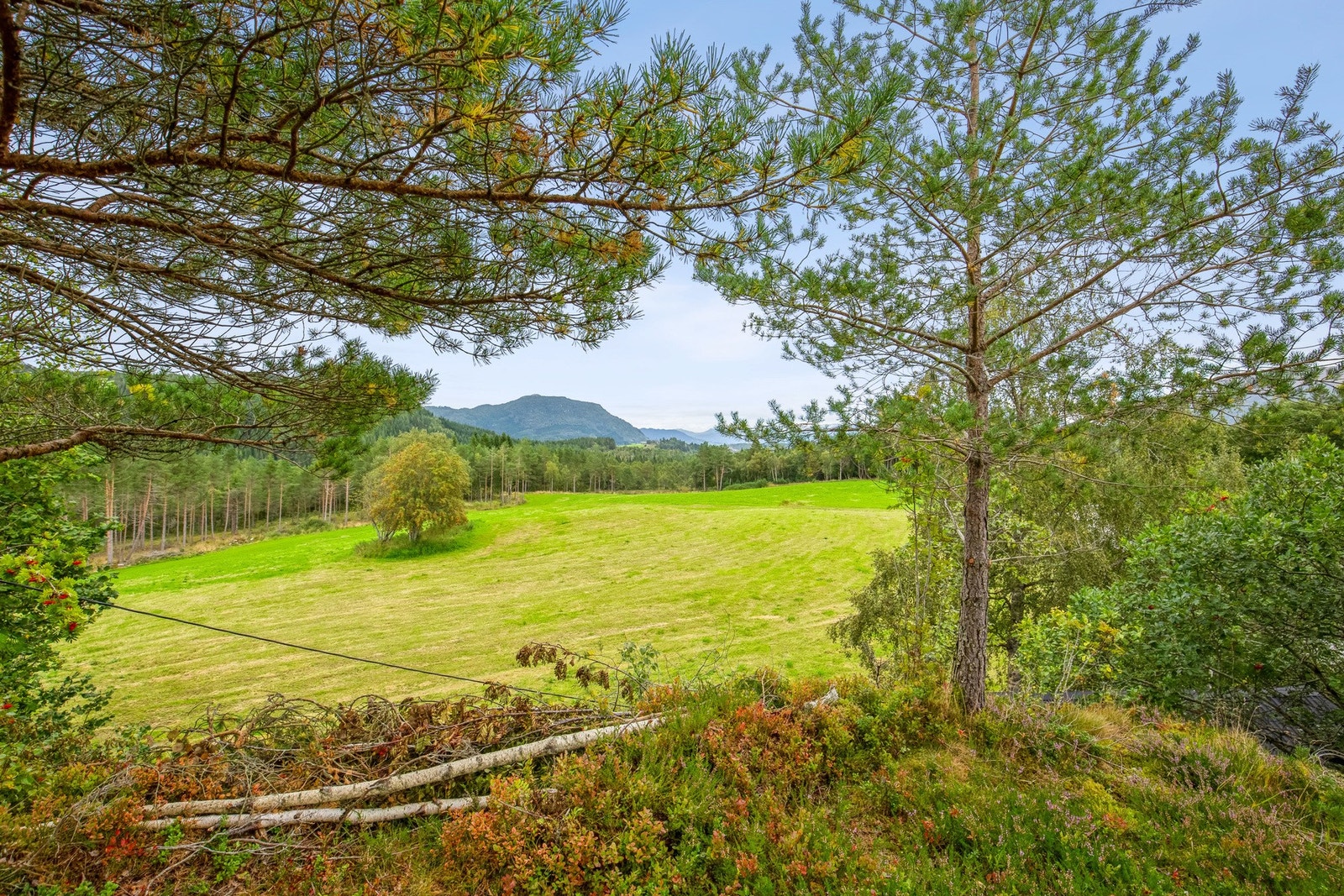Utsikt fra eiendommen Galleribilde