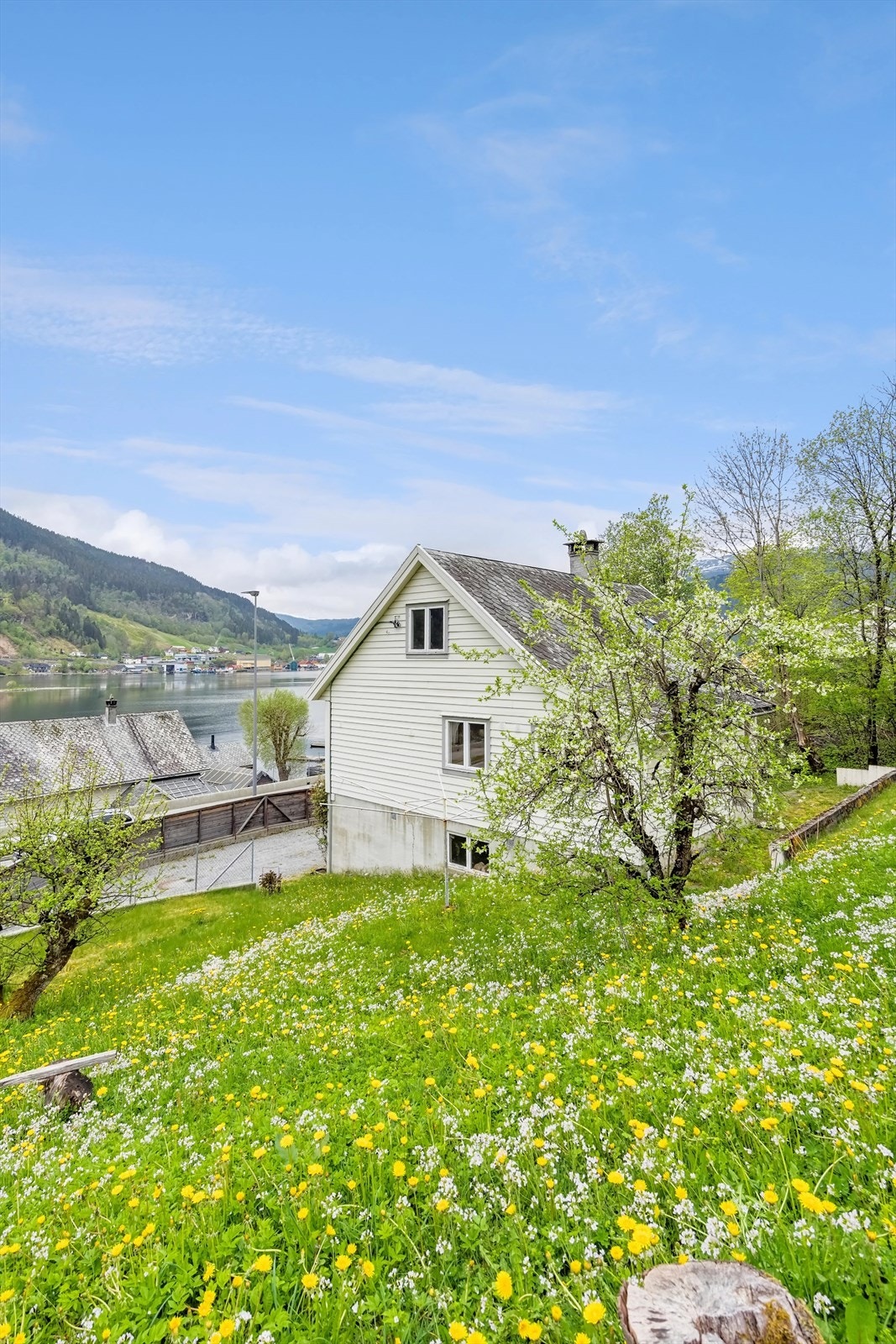 Velkommen til visning! Galleribilde