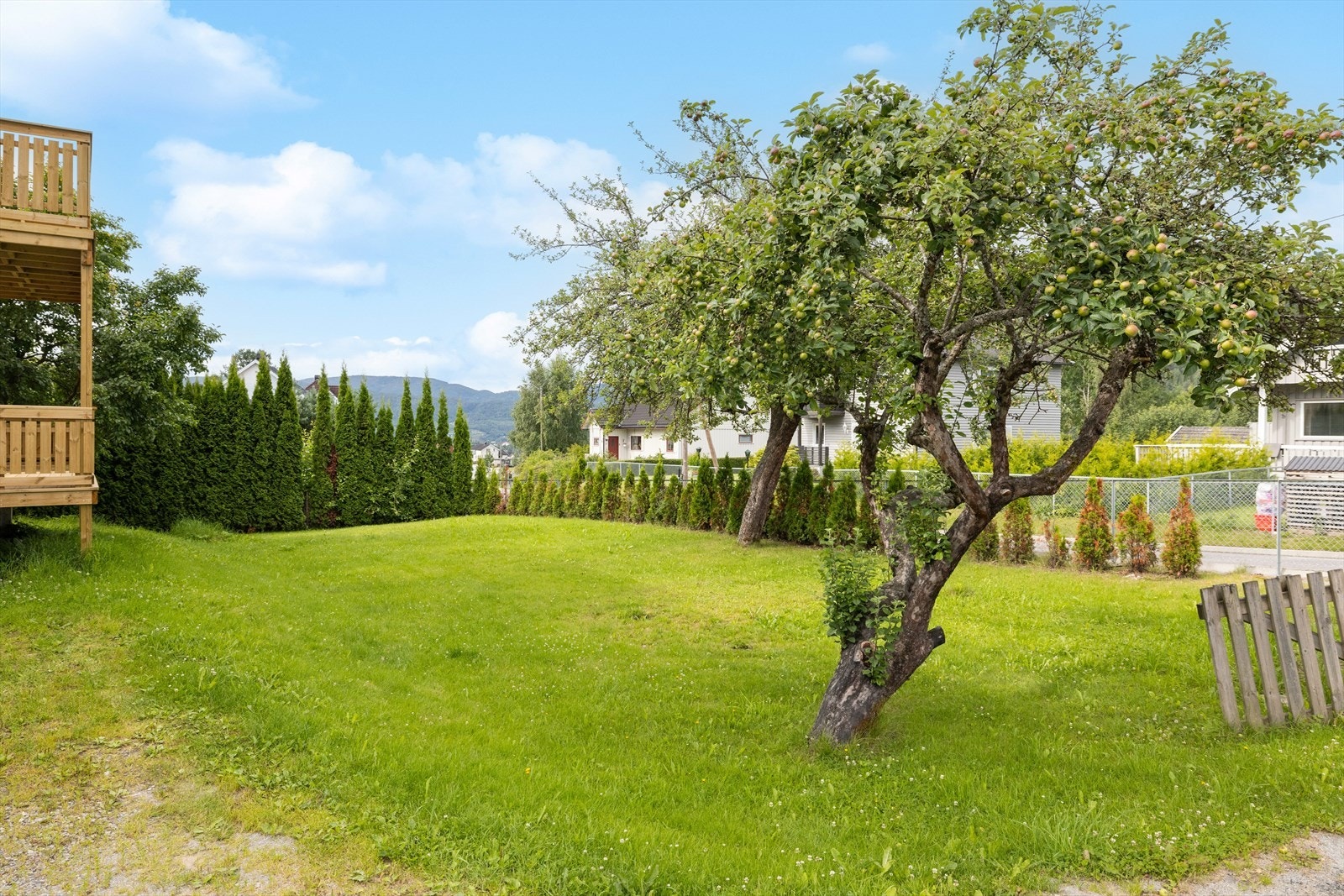 Stor og flat opparbeidet hage. Galleribilde