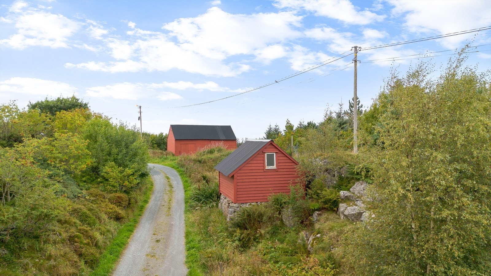 Bod/potetkjeller Galleribilde