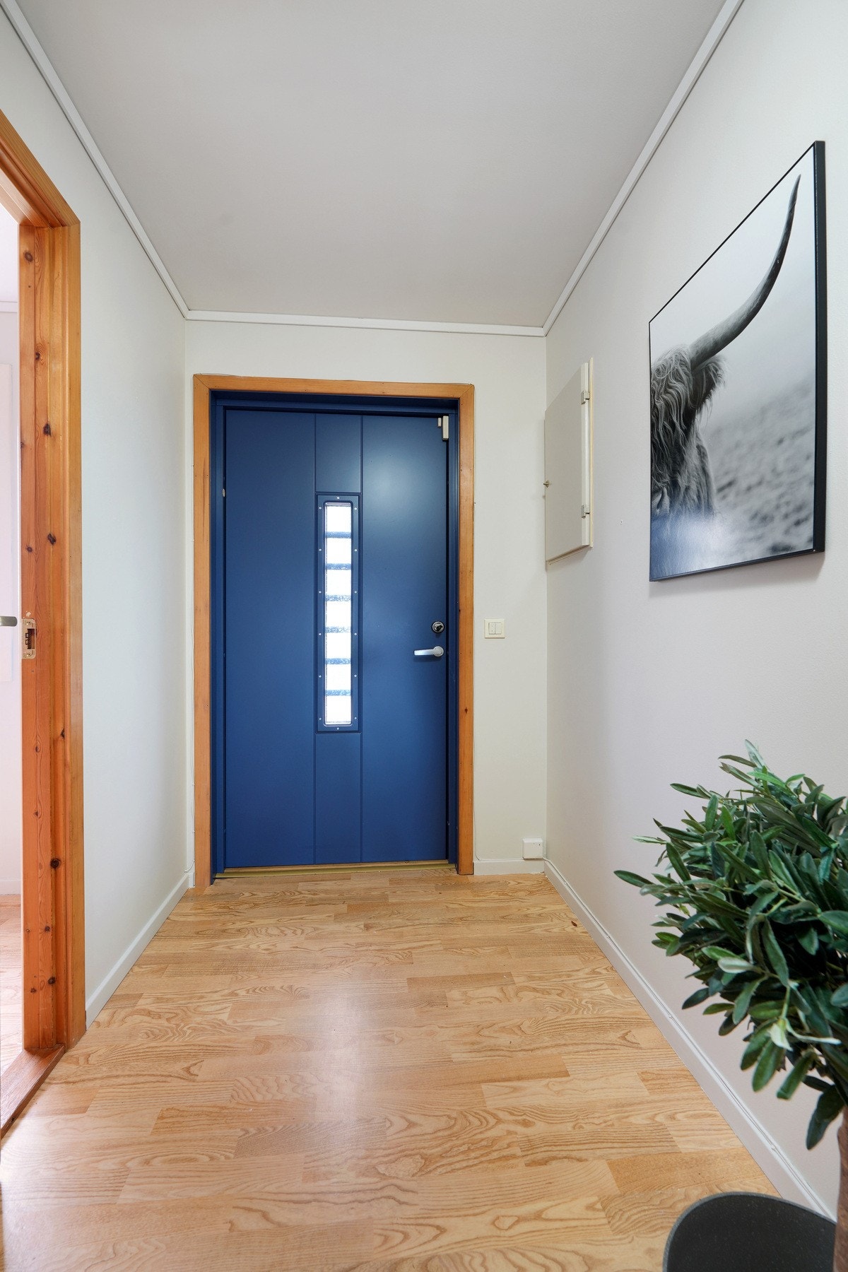 Vindfang Galleribilde