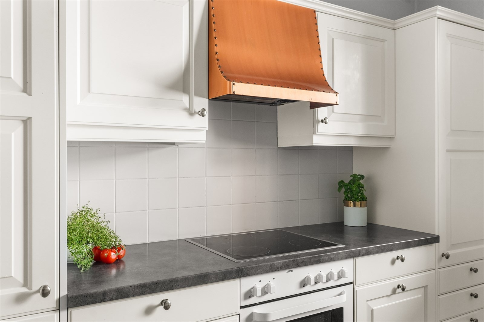 Viftetopp med kullfilter med kobberhette Galleribilde