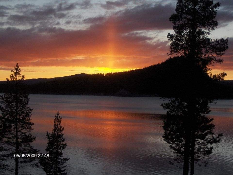 Selgers bilde Galleribilde