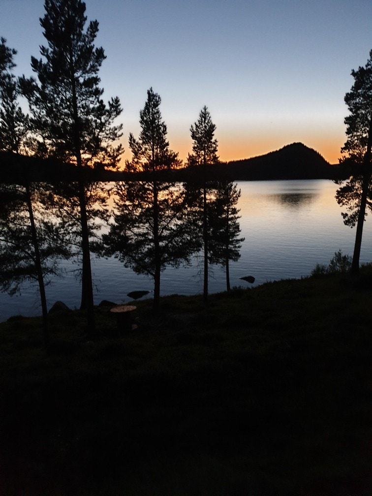 Selgers bilde Galleribilde