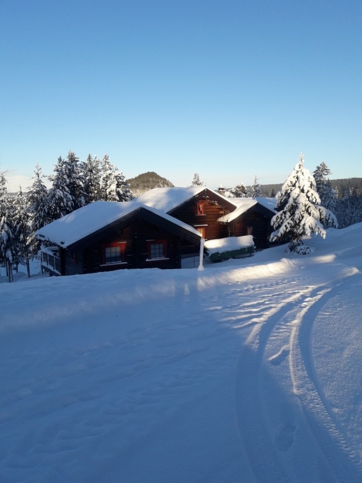 Selgers bilde Galleribilde