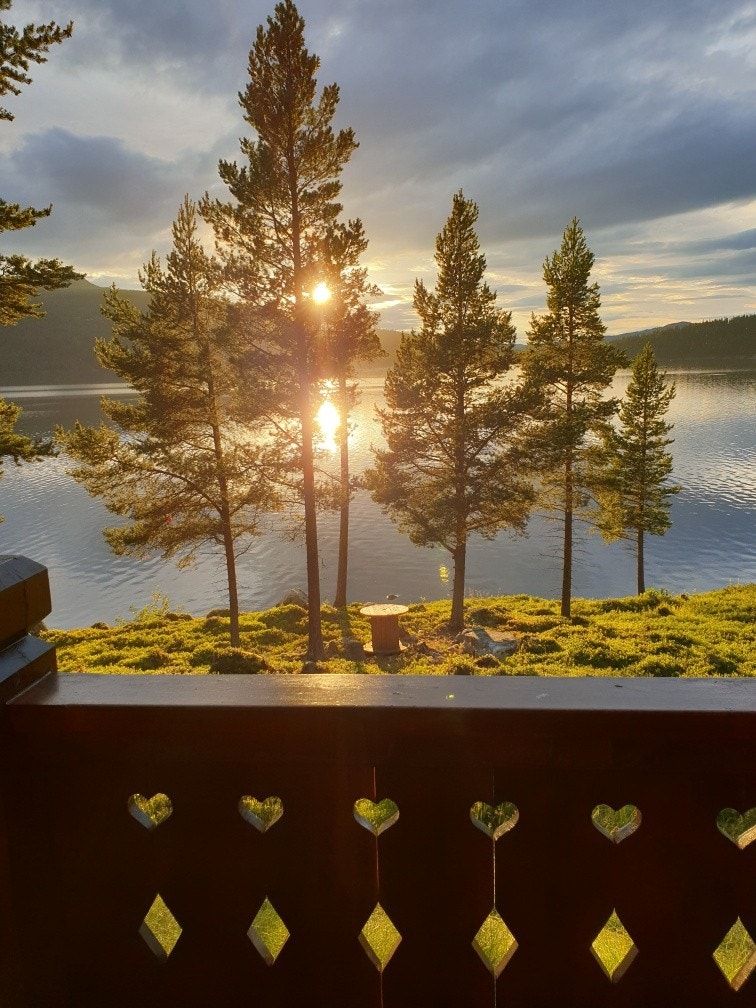 Selgers bilde Galleribilde