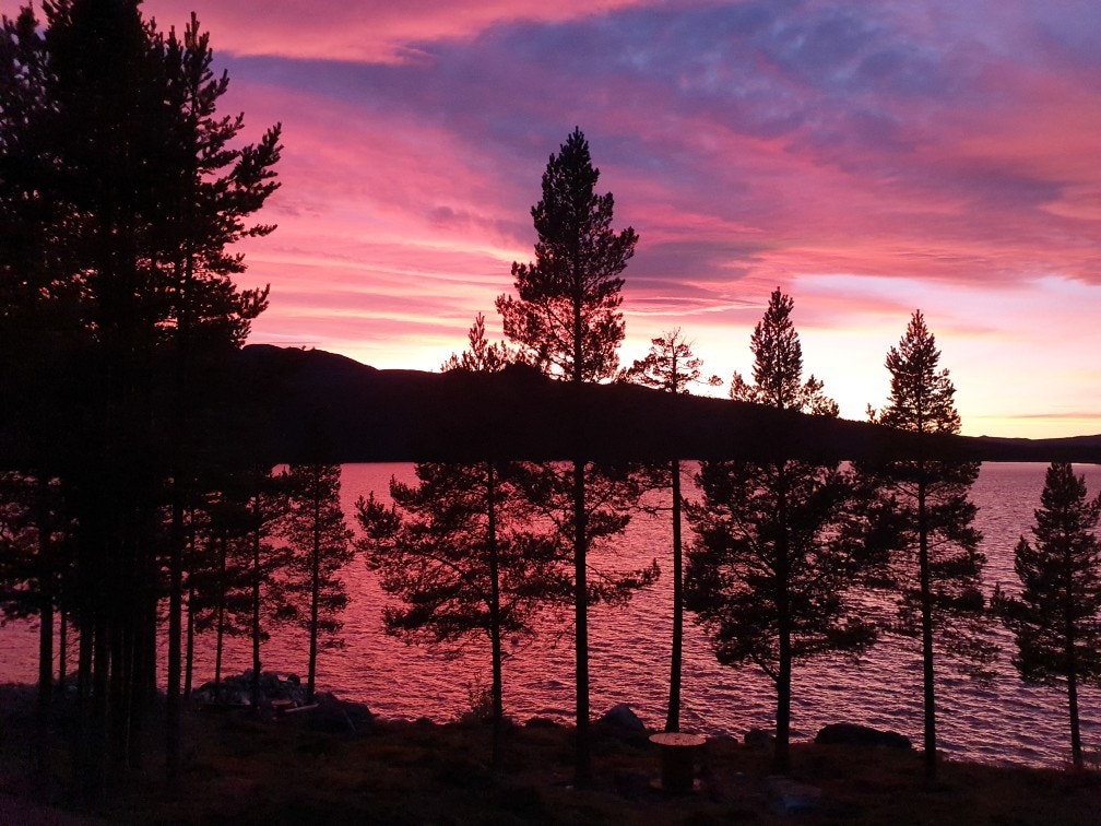 Selgers bilde Galleribilde