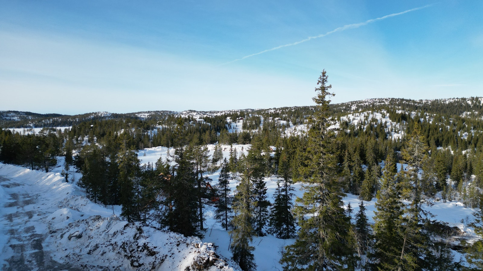 Bilder fra tomte området. Galleribilde