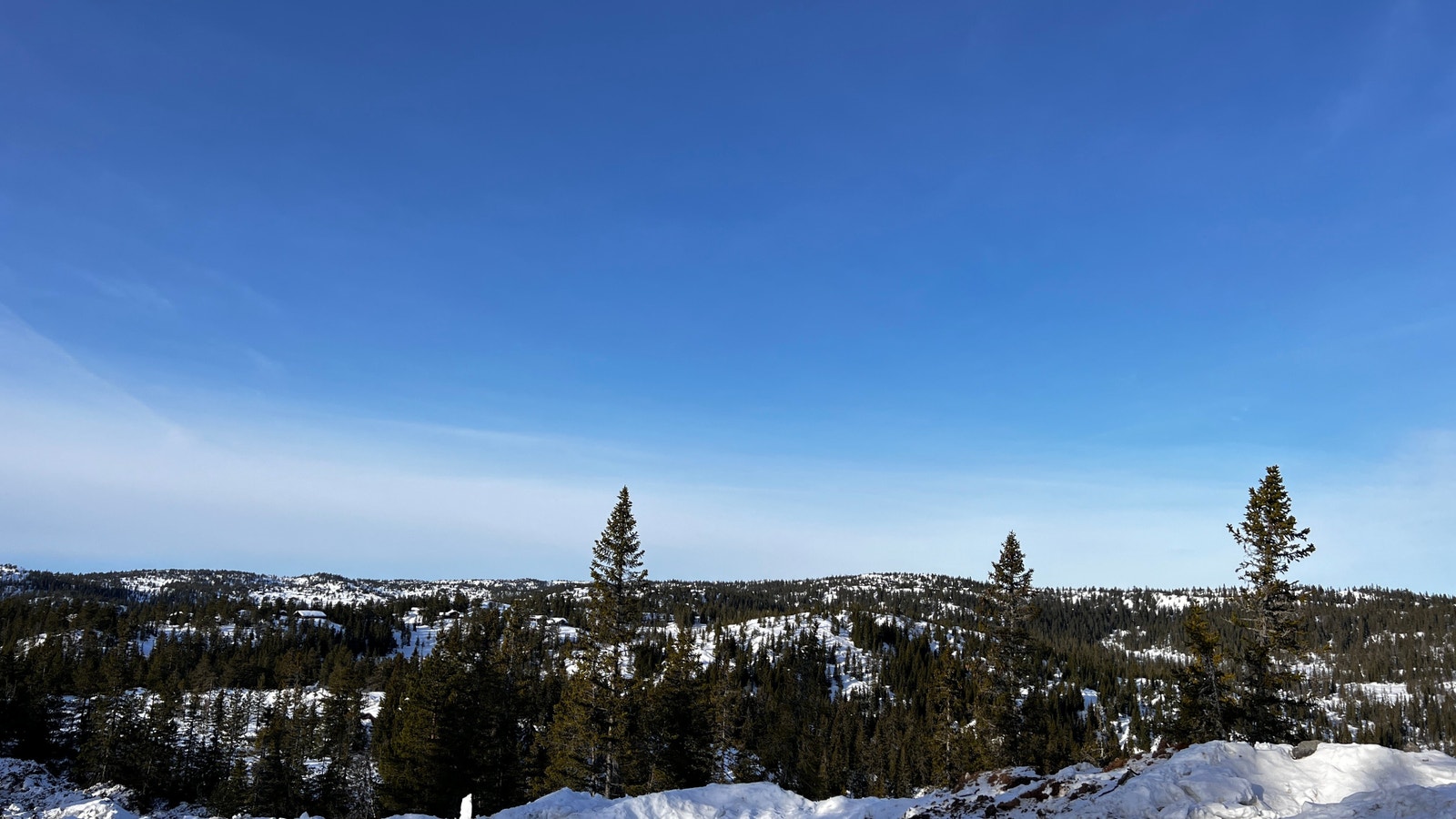 Bilder fra tomte området. Galleribilde