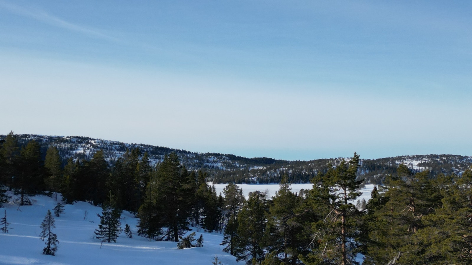 Bilder fra tomte området. Galleribilde