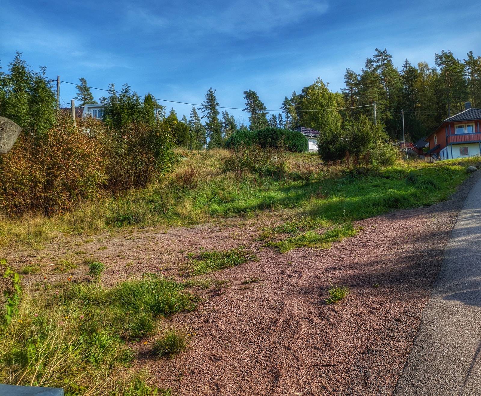 Foto fra tomten mot Øst Galleribilde