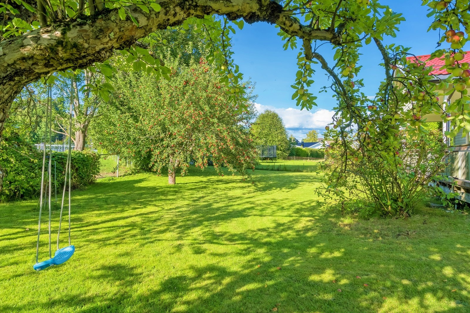 En idyllisk hage med busker og lett beplantning Galleribilde