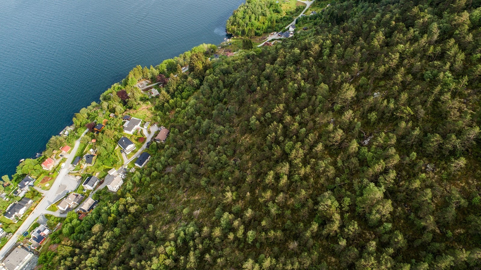 objpict_6128918334163_0.jpg Galleribilde