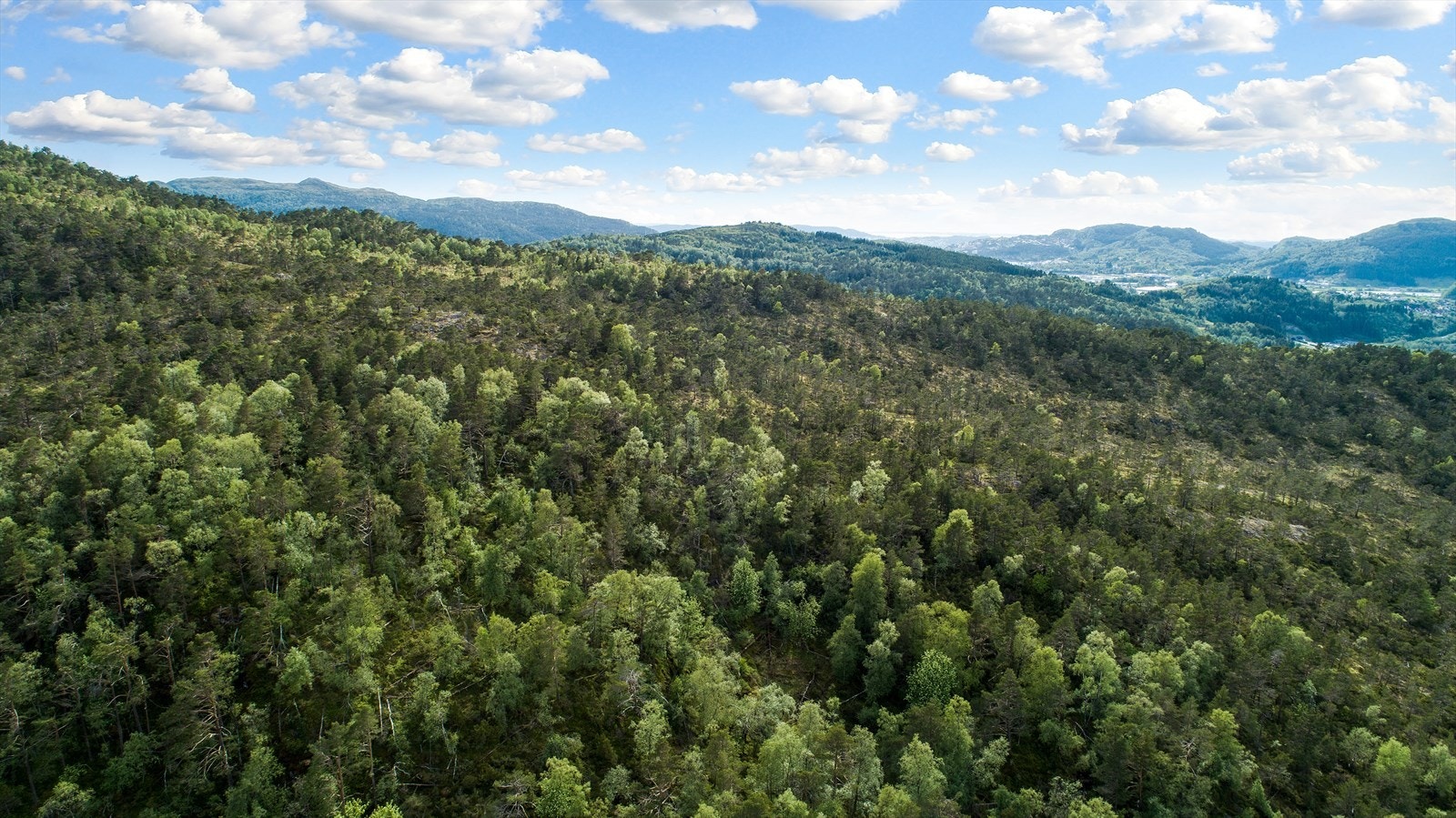 objpict_6128918334162_0.jpg Galleribilde