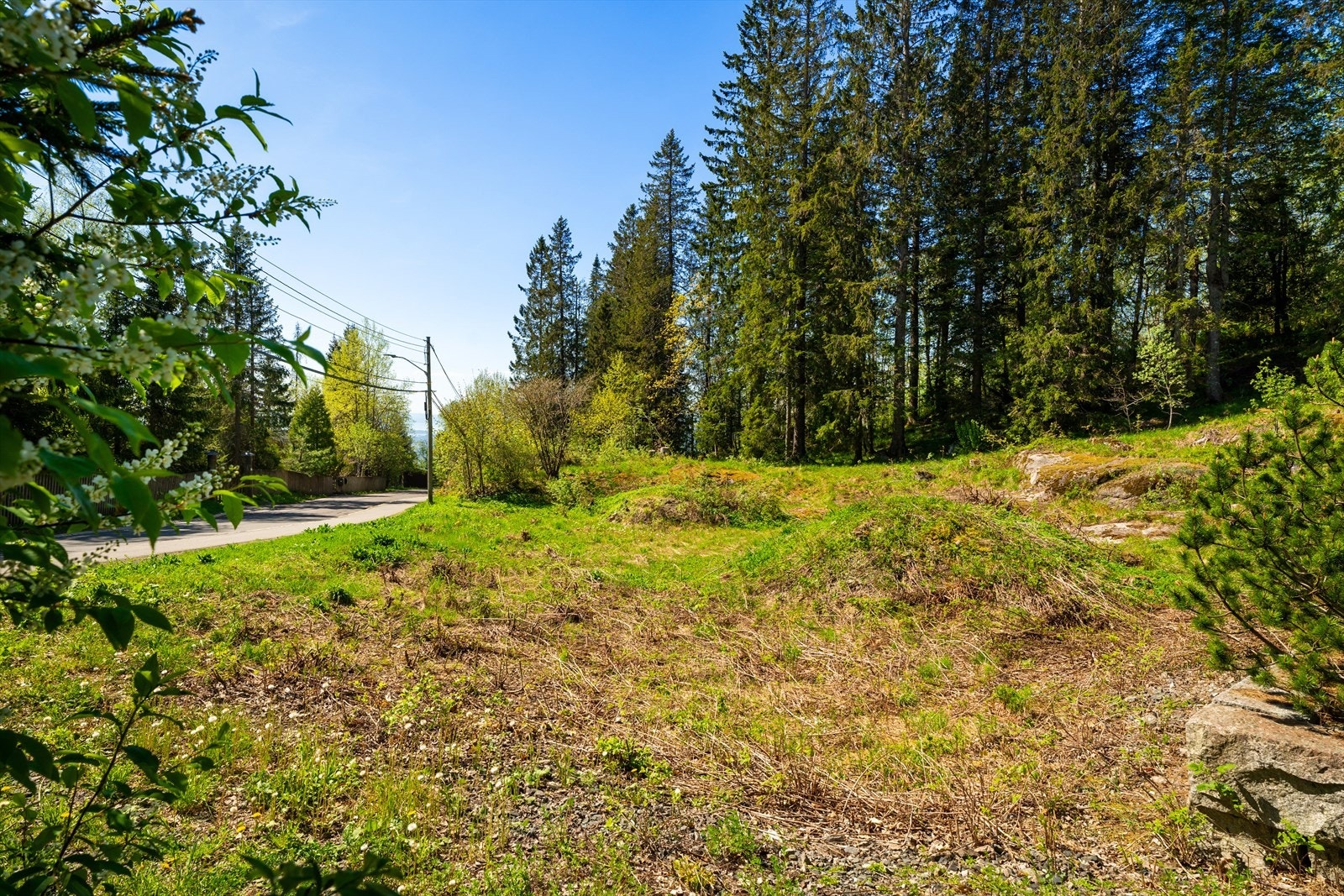 Adkomst fra Hospitsveien Galleribilde