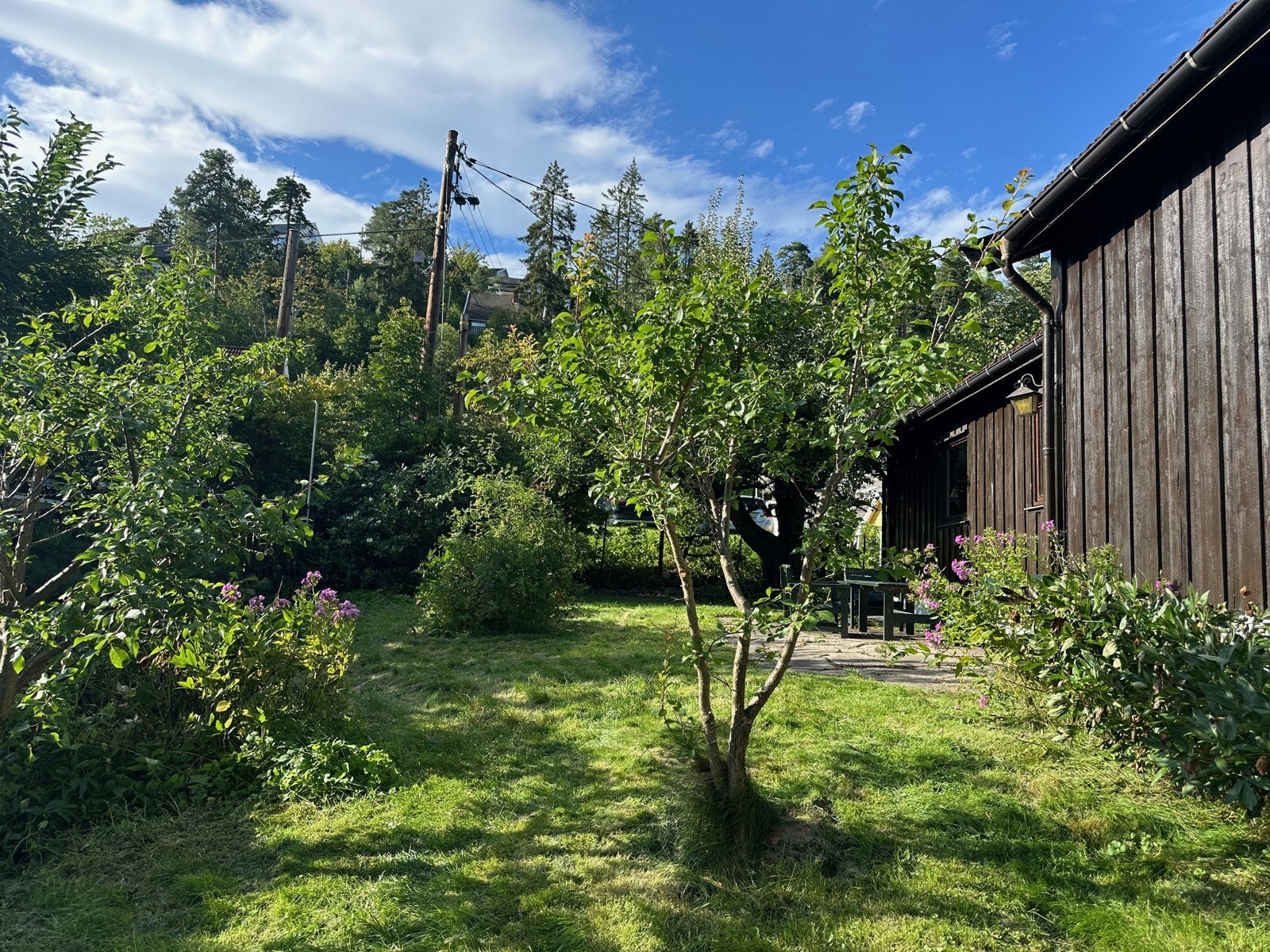 Bilde tatt av selger. Galleribilde