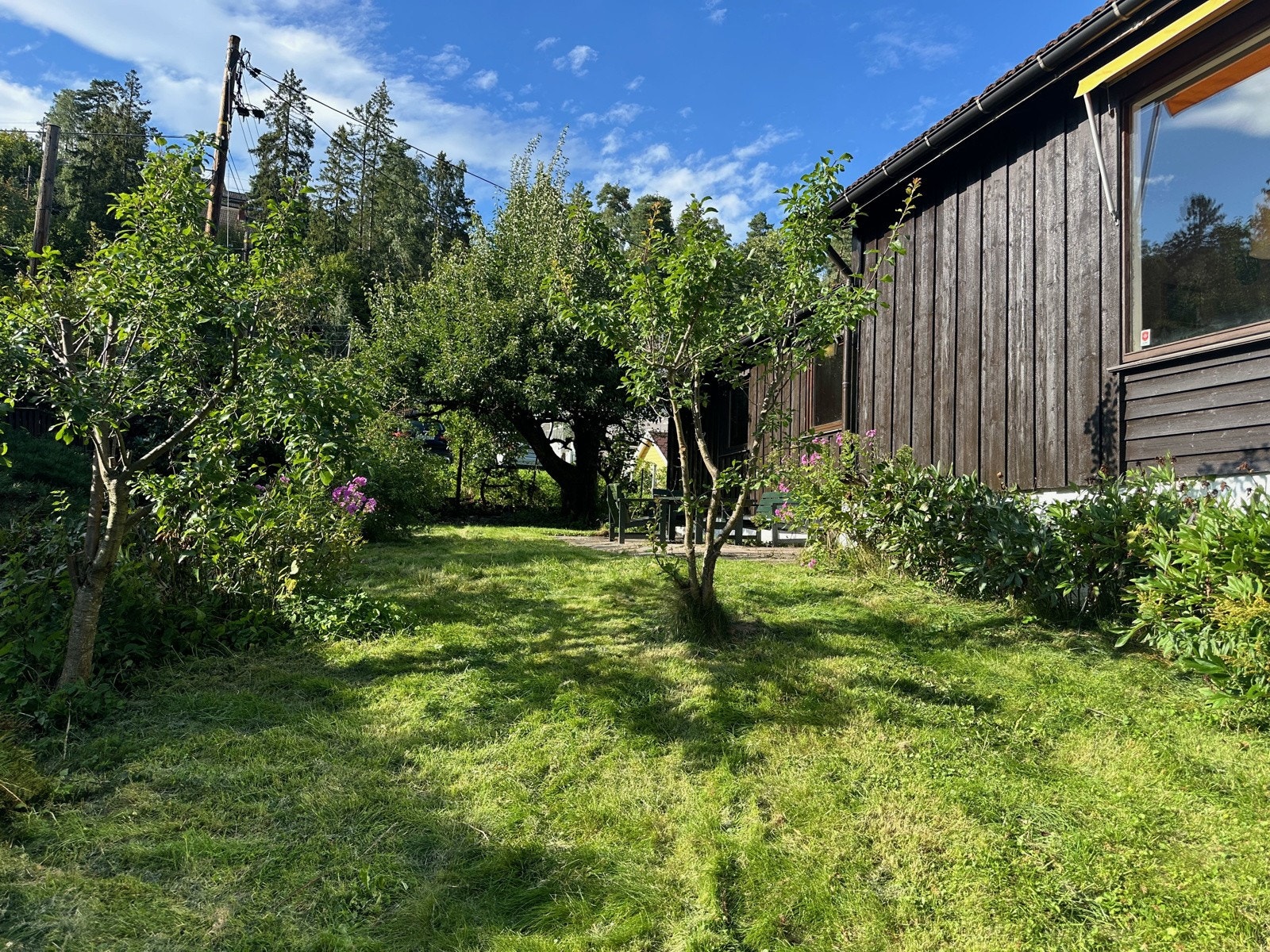 Bilde tatt av selger. Galleribilde