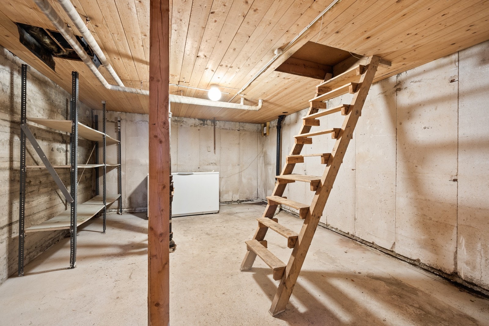 Kjelleretasjen. Galleribilde