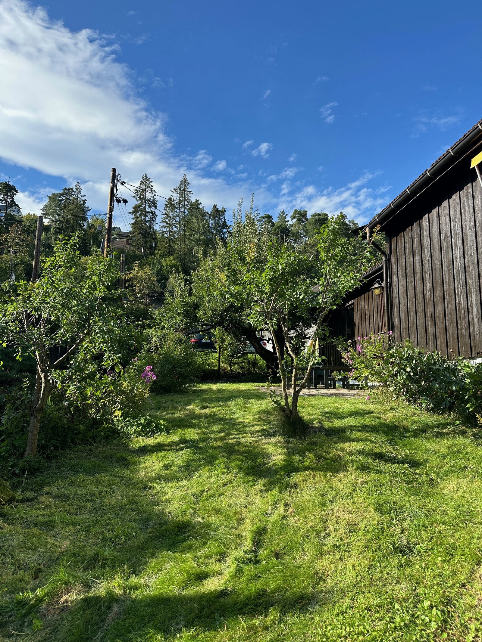 Bilde tatt av selger. Galleribilde