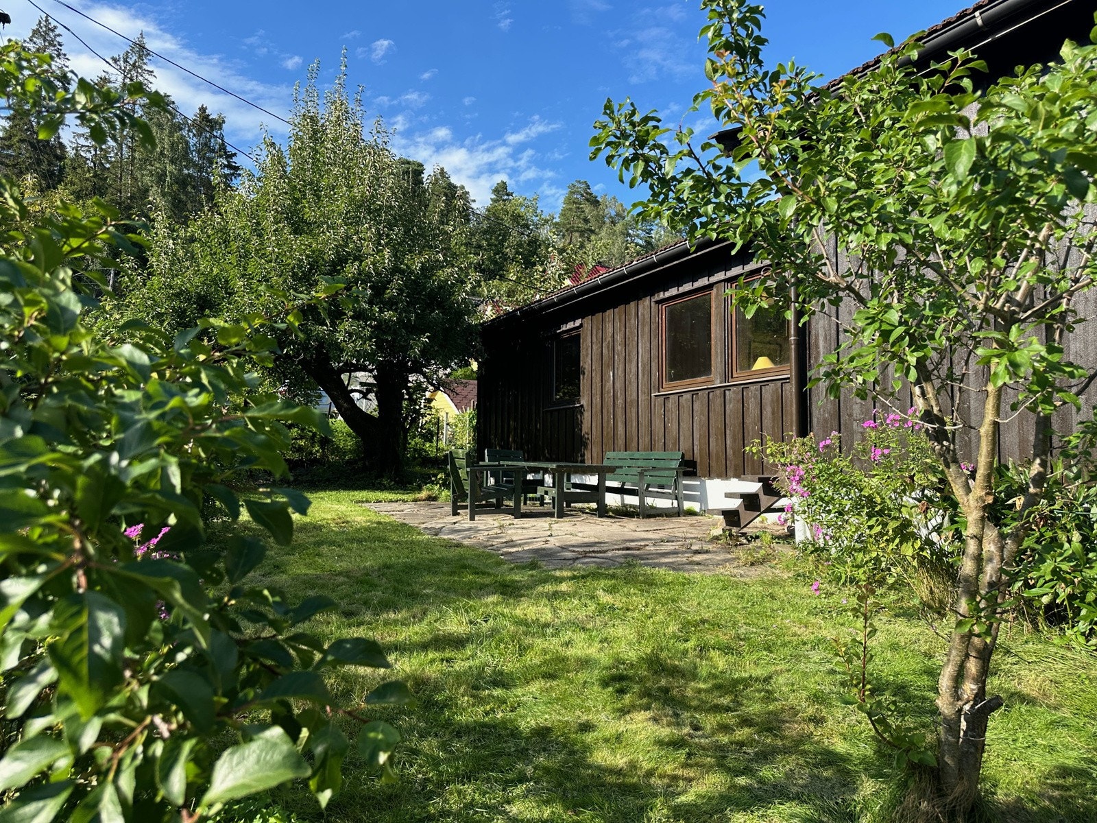 Bilde tatt av selger. Galleribilde