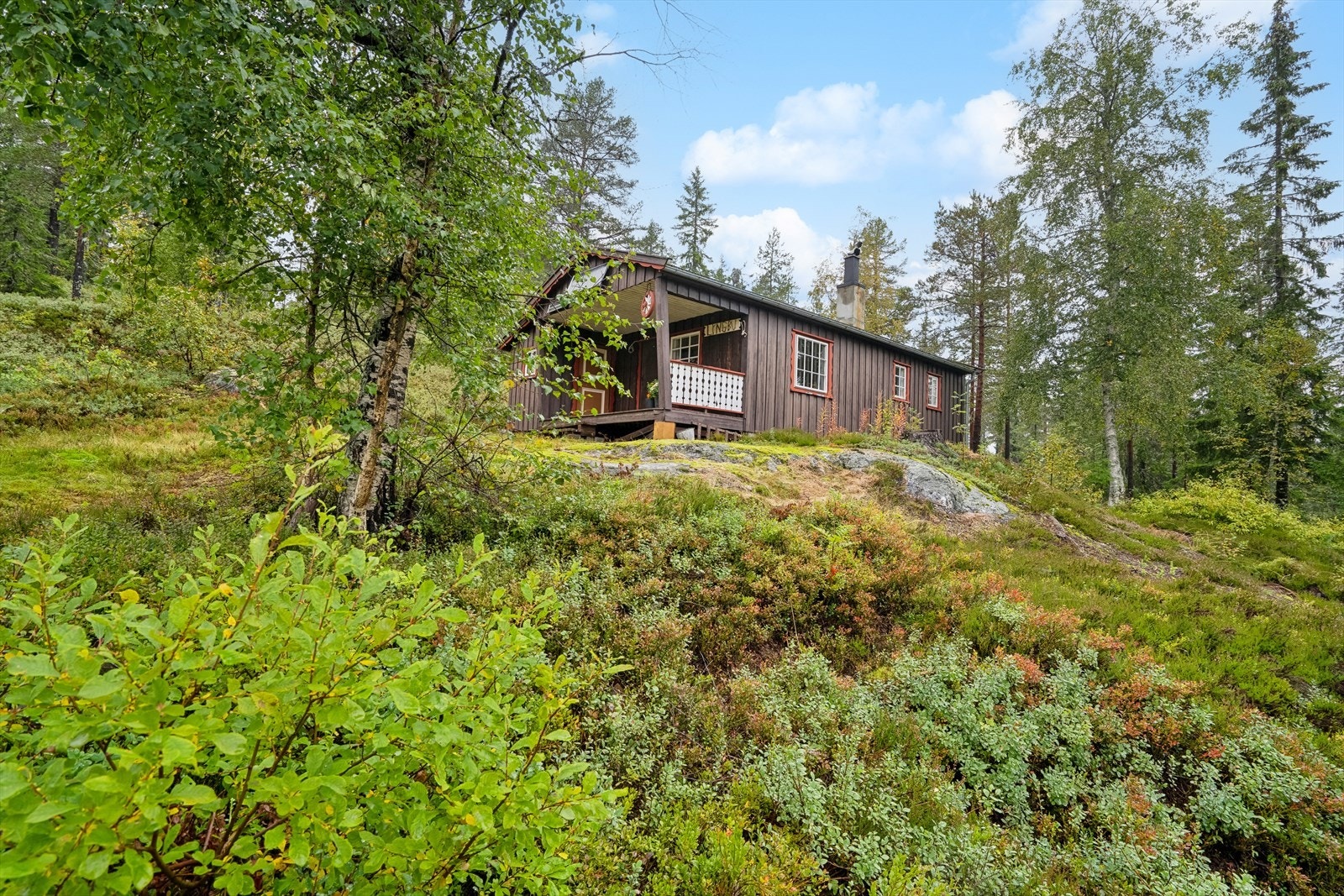 Velkommen til Juvenesvegen 366! Galleribilde