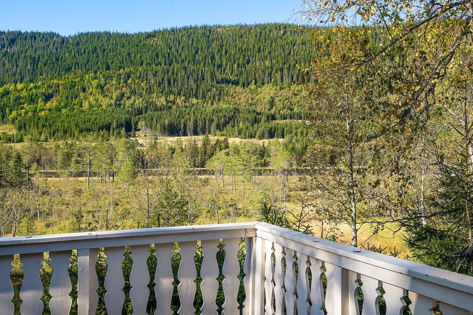 Hyggelig utsyn fra verandaen. Galleribilde