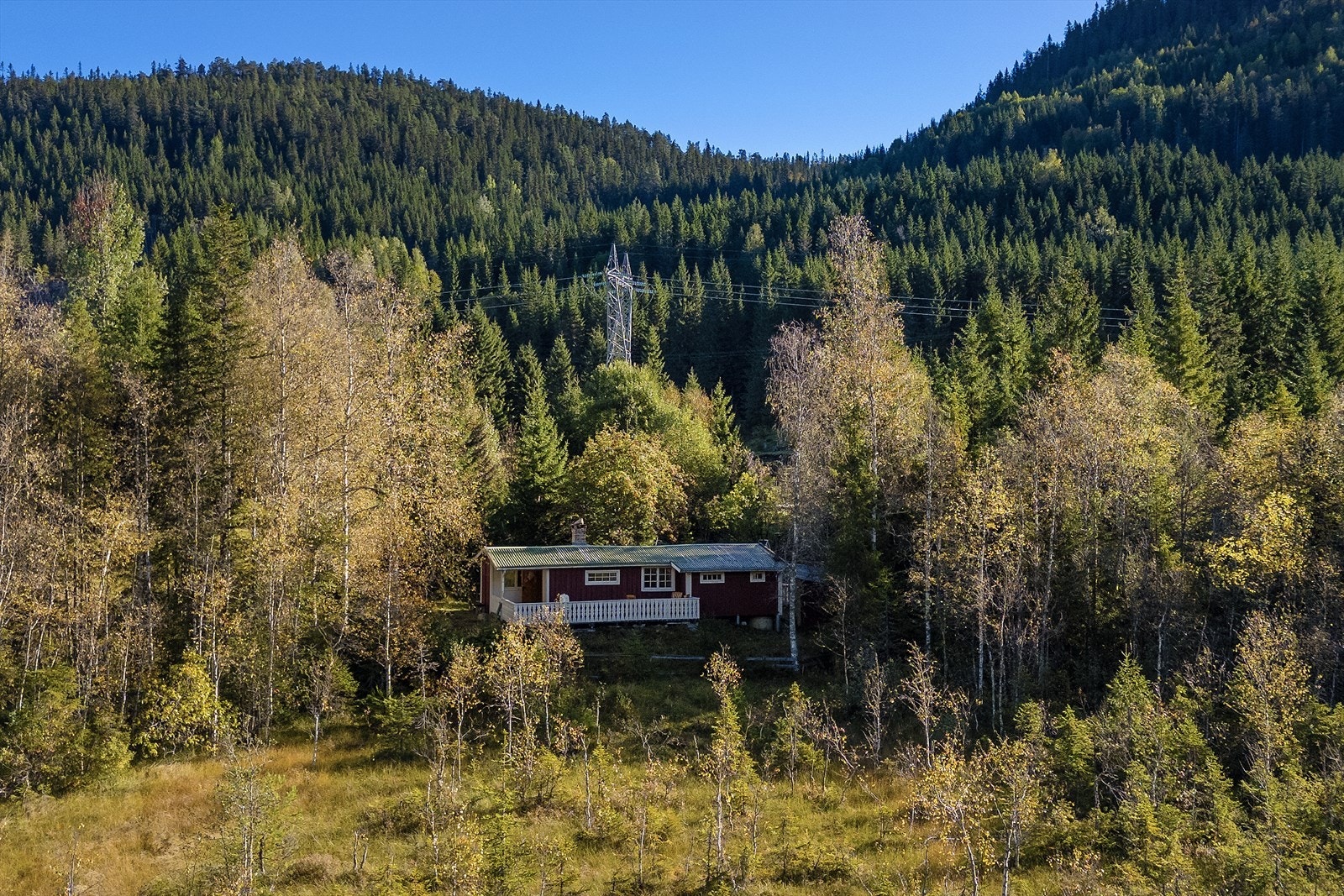 Inntilliggende skog- og markaområder. Galleribilde