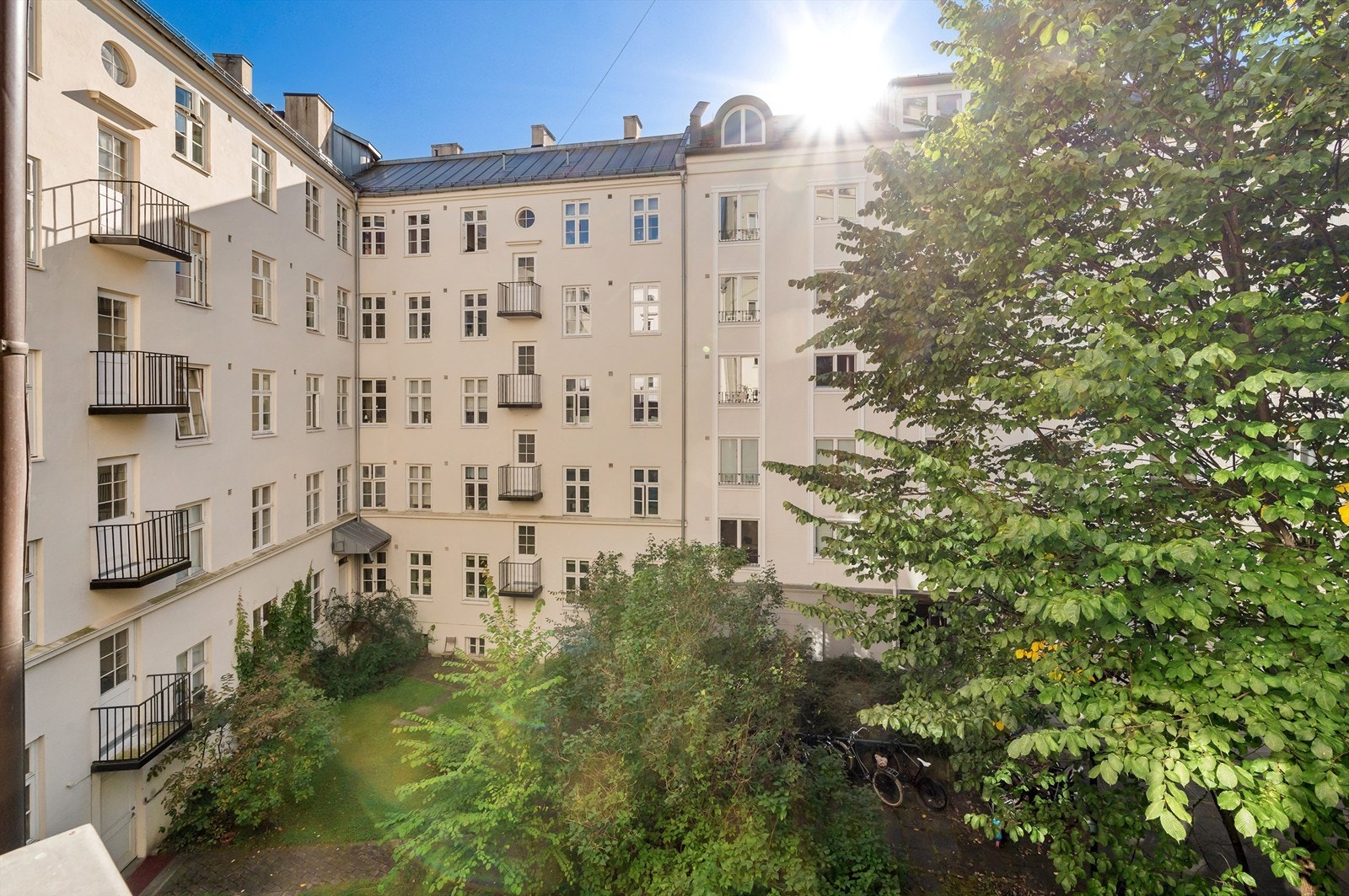 Bakgården er pent opparbeidet med plen, trær og diverse beplantning. Galleribilde