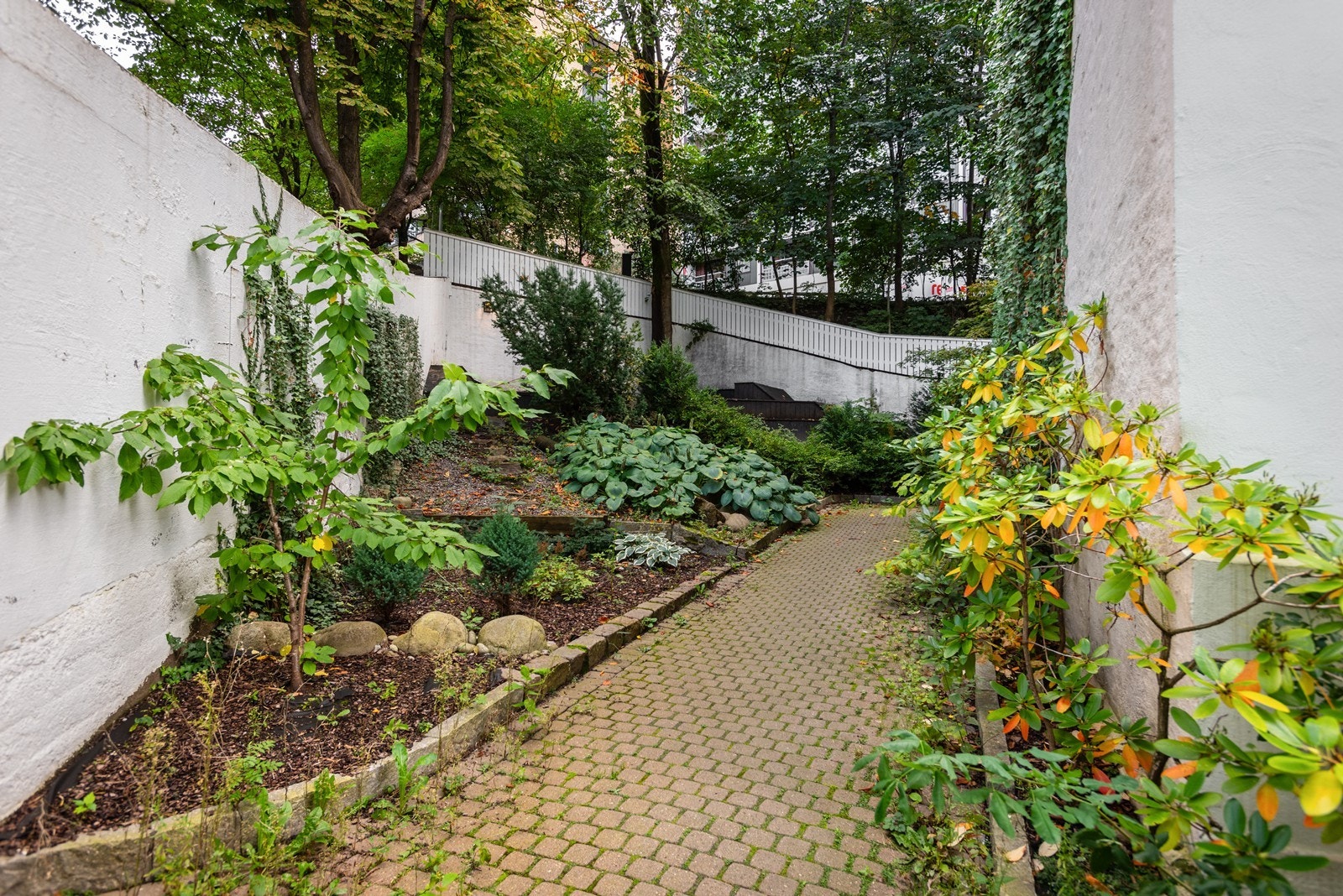 Bakgård Galleribilde