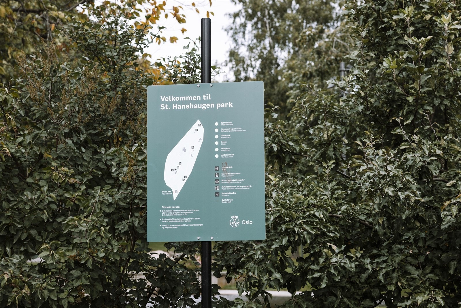 Fantastiske St. Hanshaugparken er bare en kort spasertur unna. Her er det flotte turstier, dammer og grøntområder - perfekt for turer, jogging og parkliv. Galleribilde