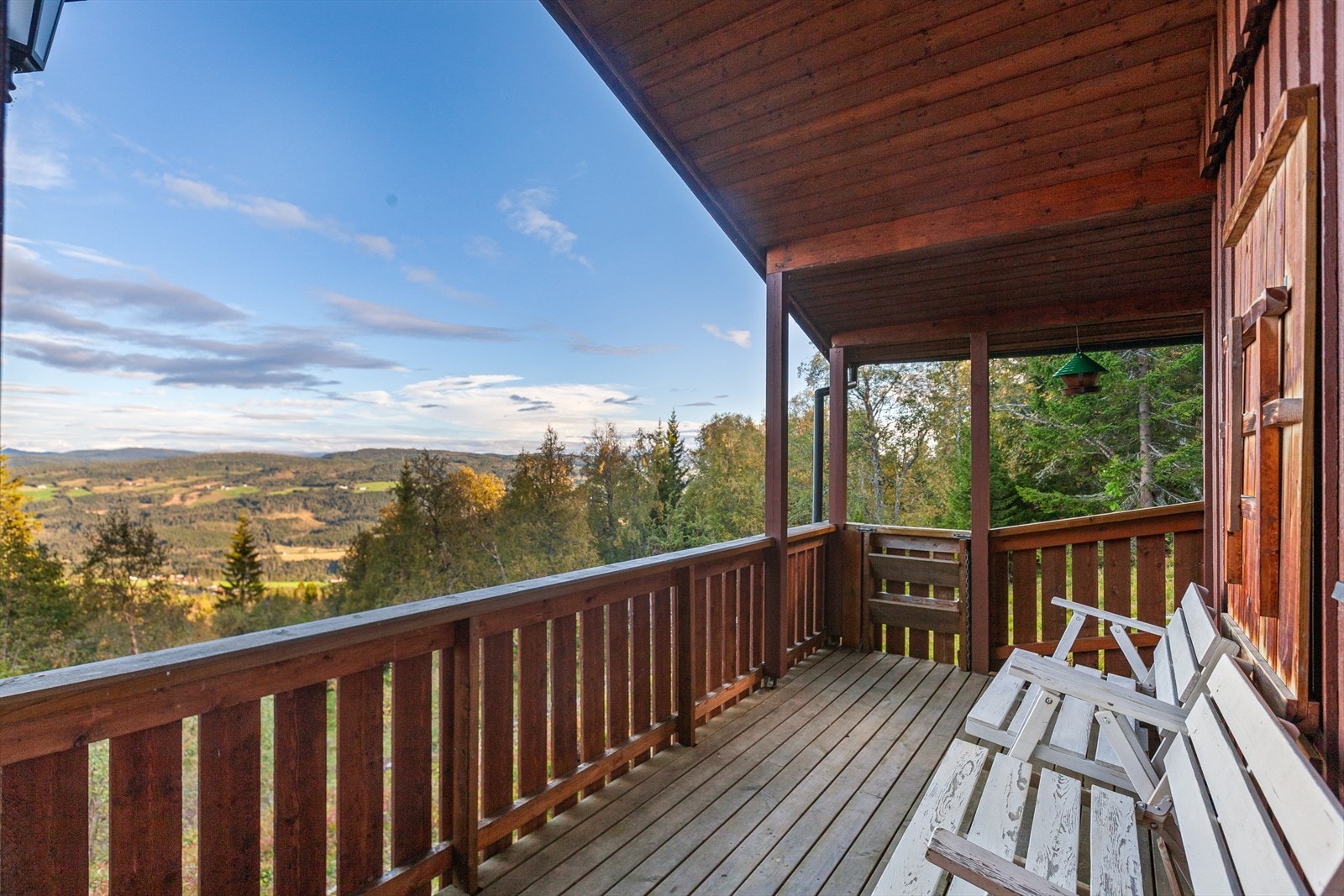 Flott utsikt Galleribilde