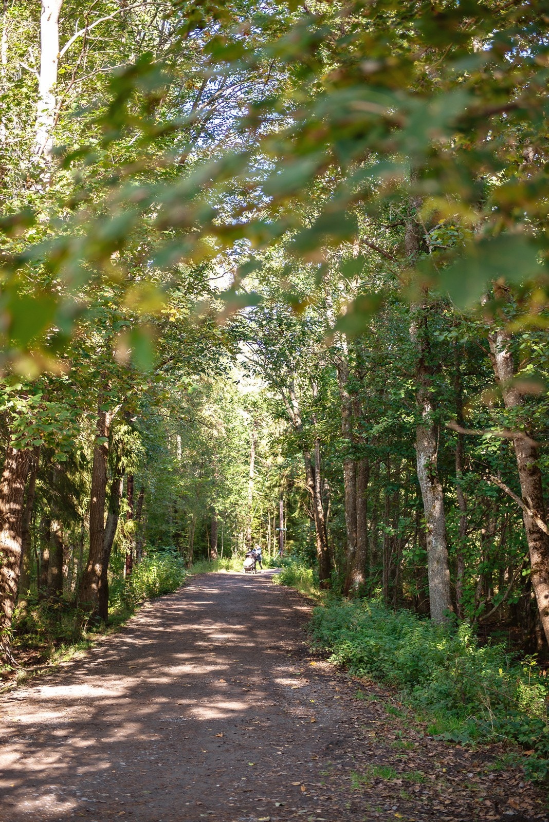 Østmarka har mye å by på både sommer og vinter Galleribilde