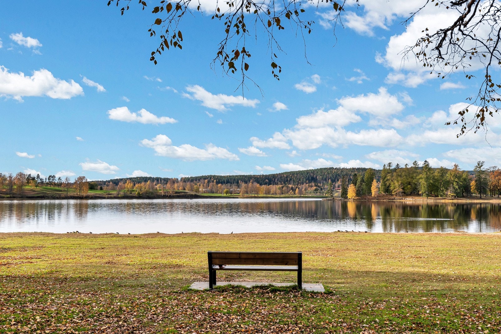 Nærområdet. Galleribilde