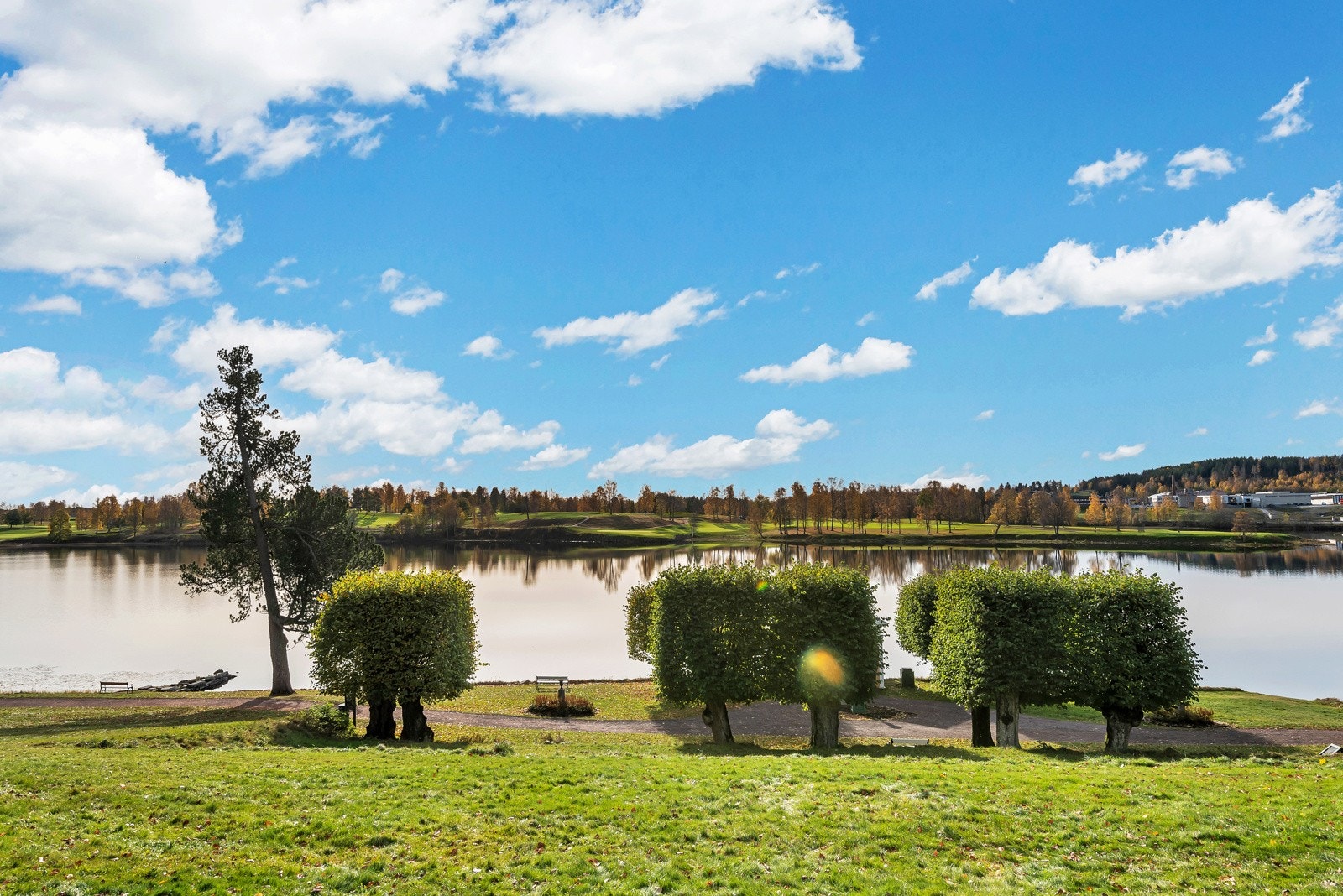 Nærområdet. Galleribilde