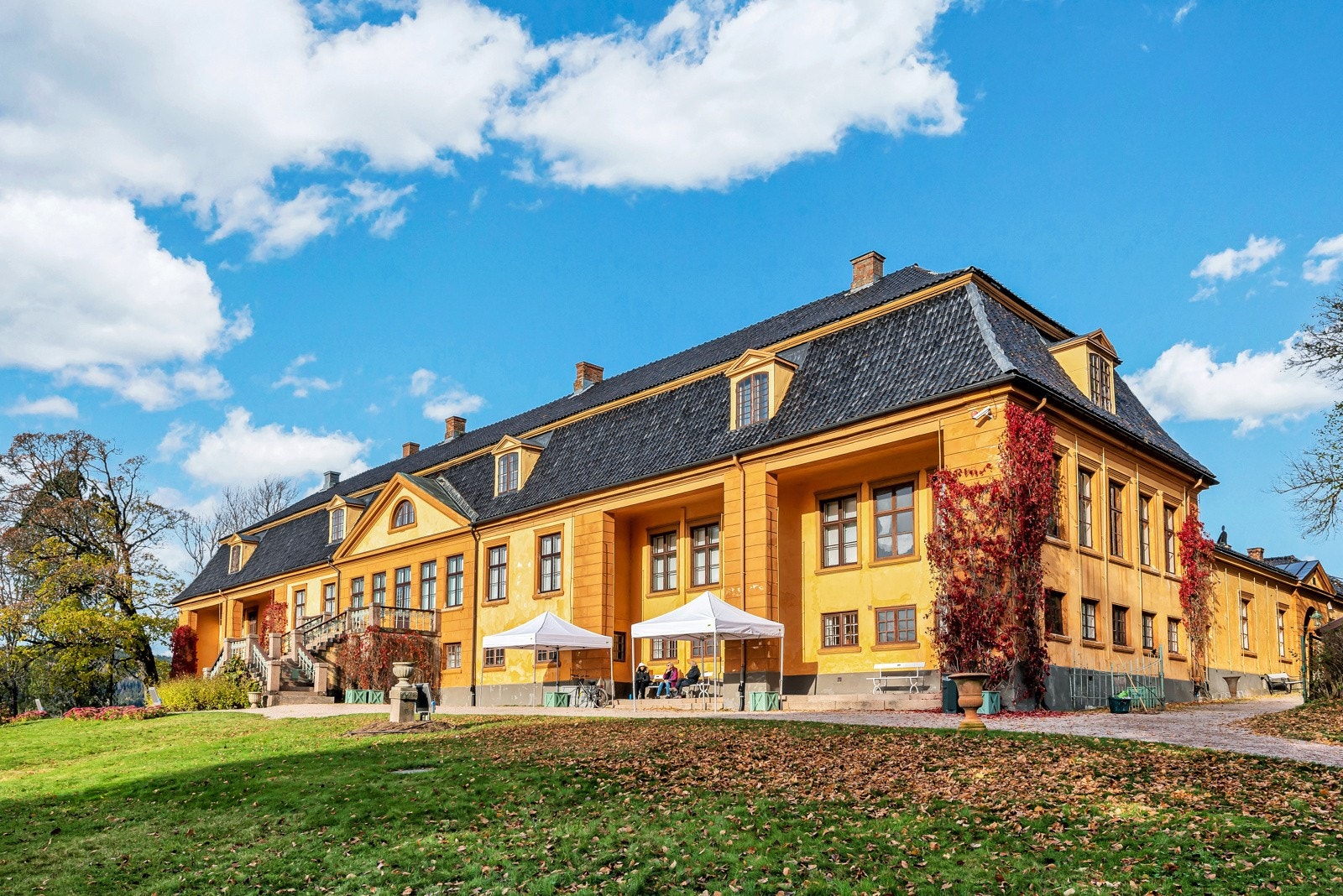 Nærområdet. Galleribilde