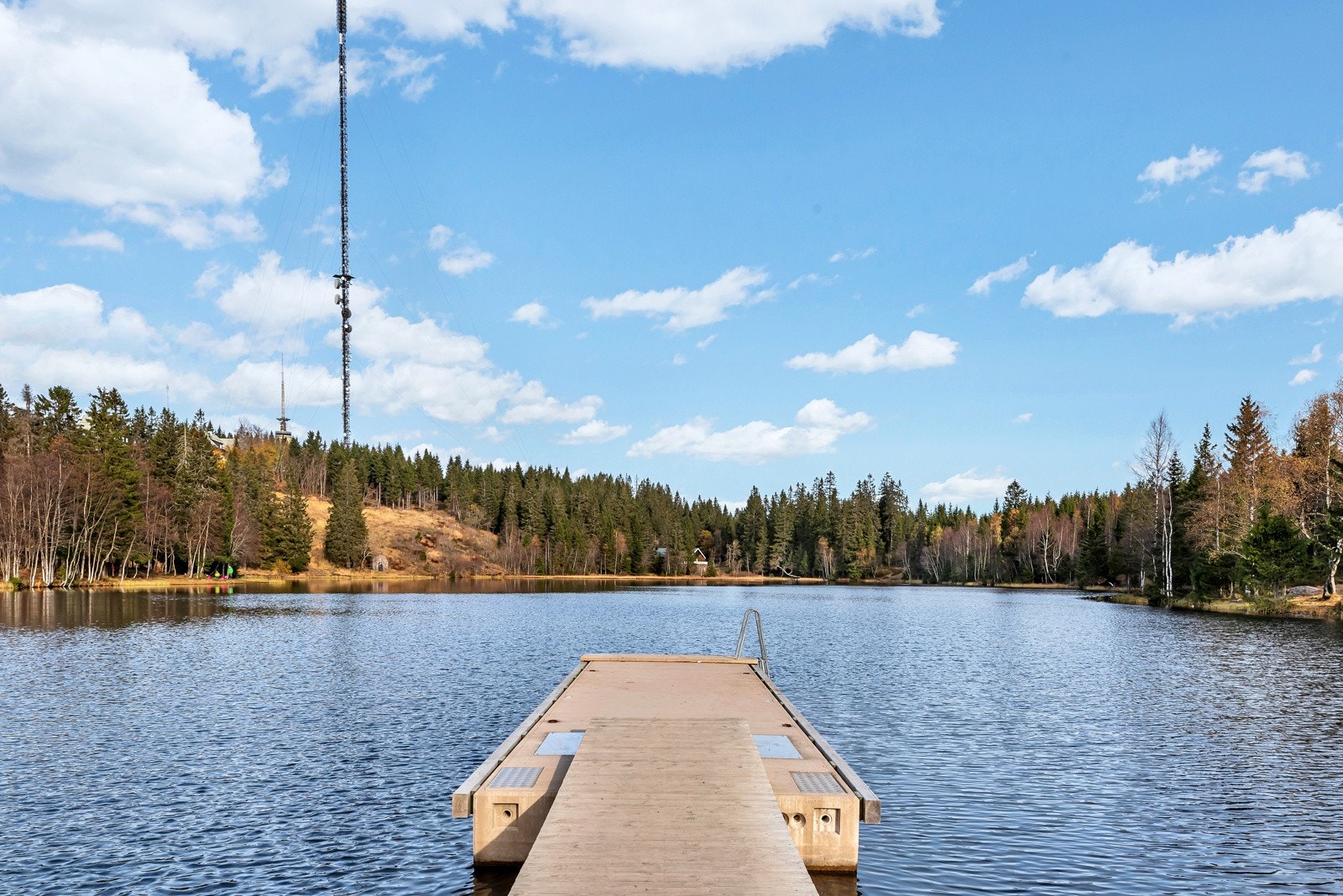 Nærområdet. Galleribilde