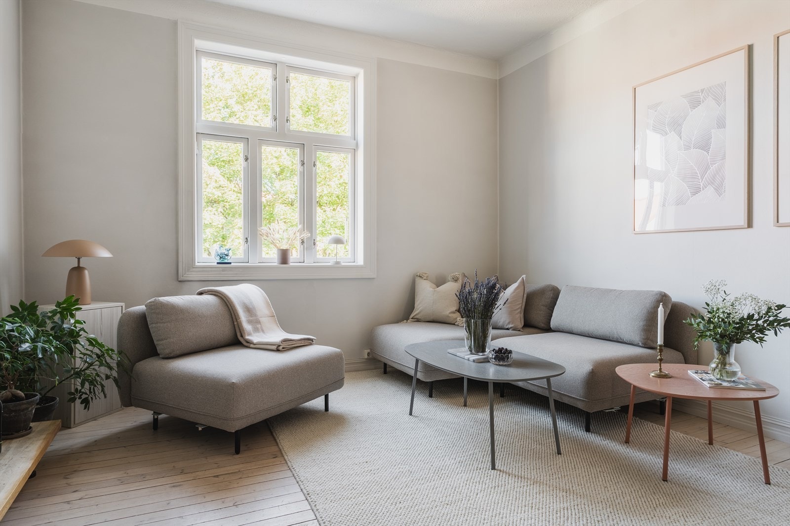 Flotte vindusflater som slipper inn naturlig lys Galleribilde