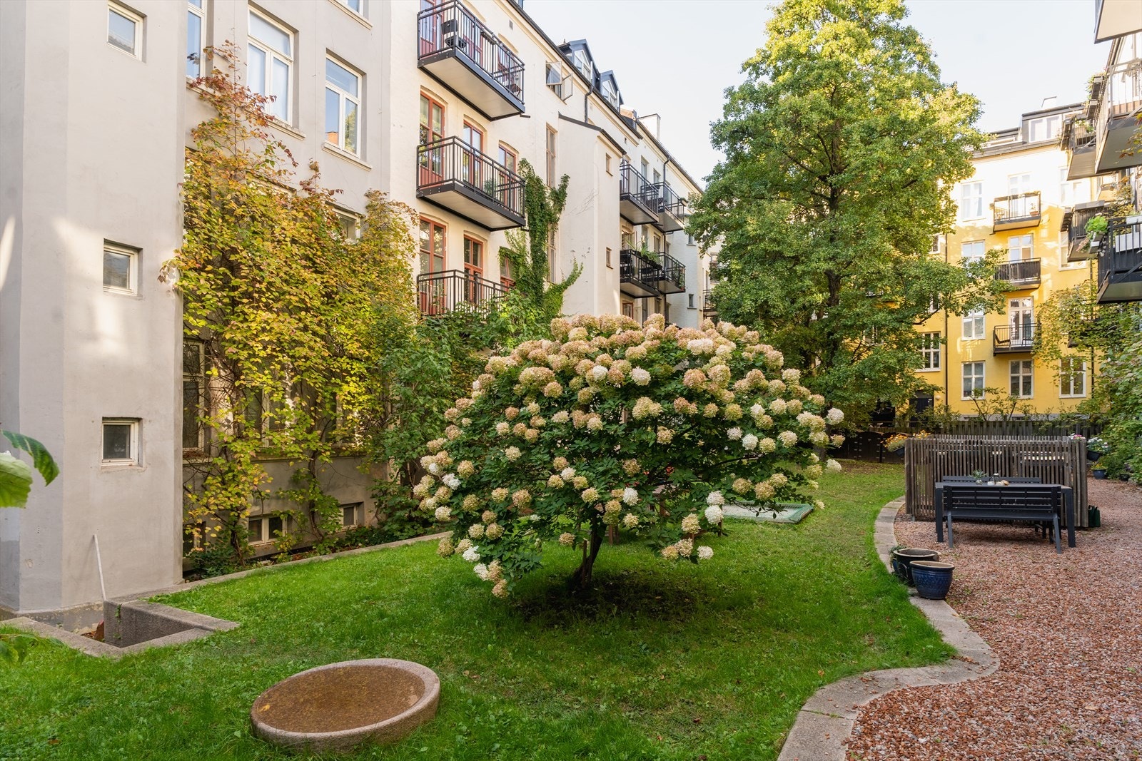 Meget hyggelig bakgård designet av Snøhetta Galleribilde