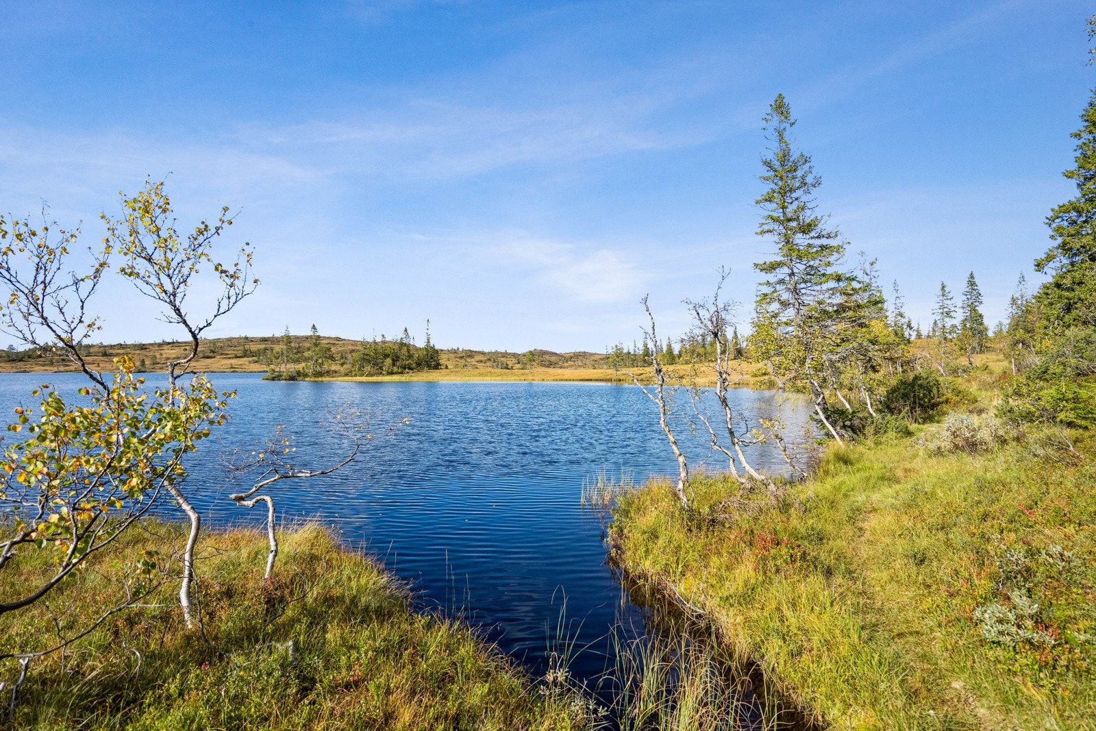 Velkommen til hyggelig visning! Galleribilde