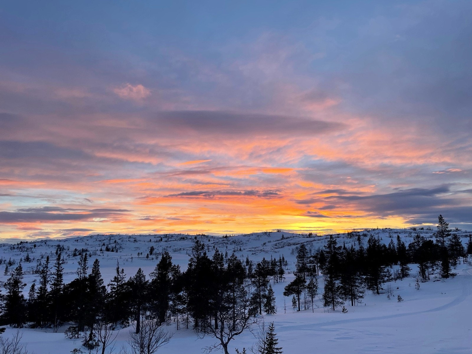 Bilde tatt av selger. Galleribilde