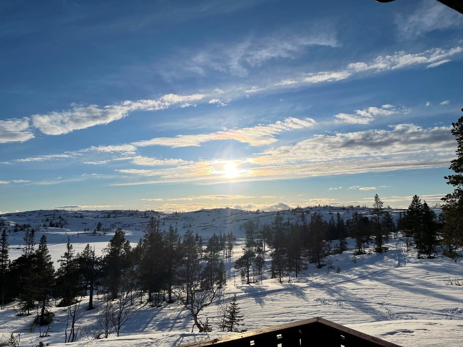 Bilde tatt av selger. Galleribilde