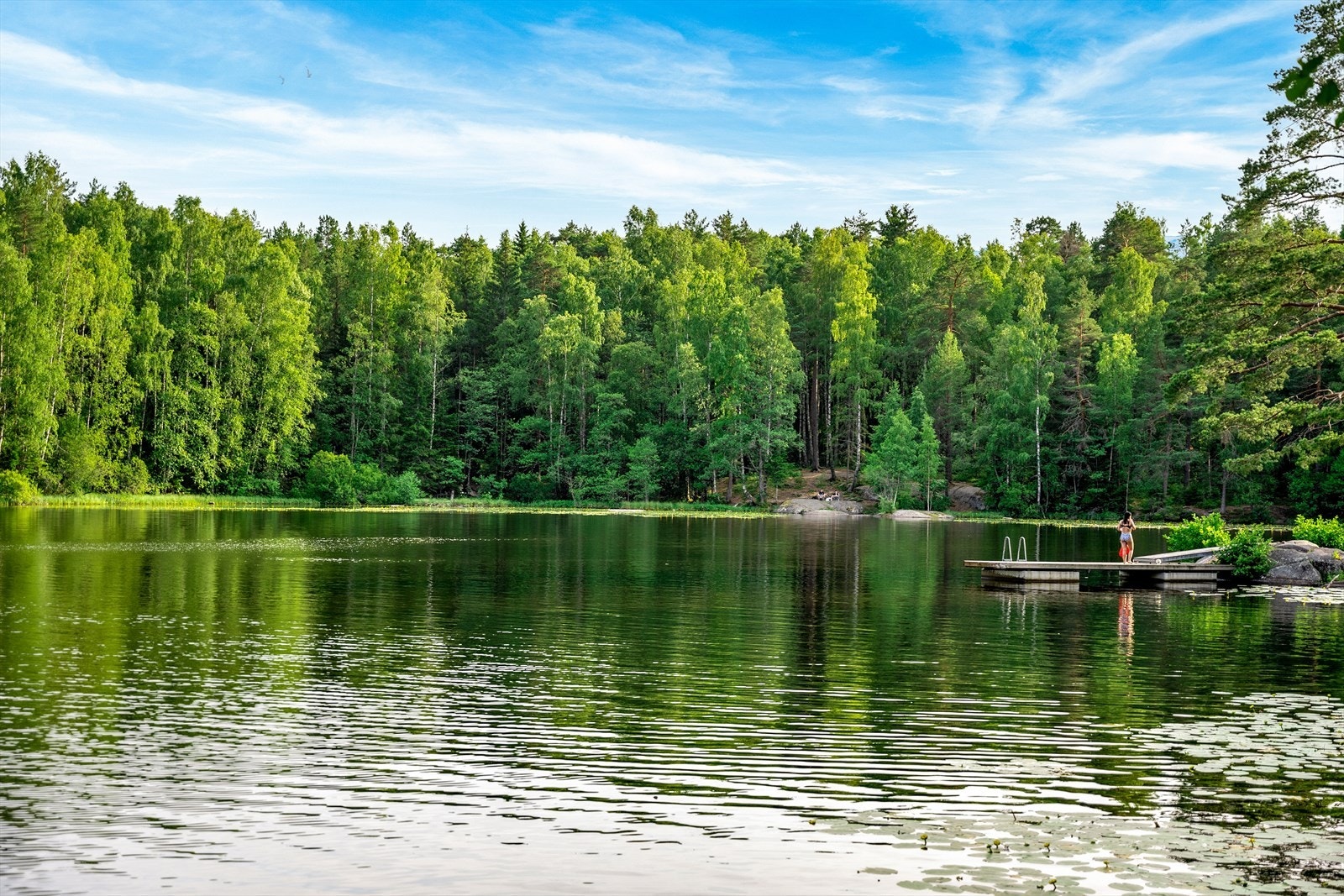 Ulsrudvannet er 5 minutter fra leiligheten i bil. Dette er bare et av mange flotte turområder i nærheten. Galleribilde